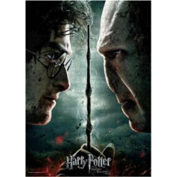 Harry Potter VS Voldermort Puzzel
