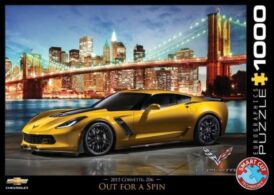 Corvette Z06 Out for a Spin (1000)
