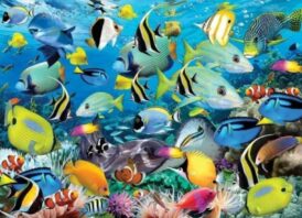 Ocean Colors (1000)