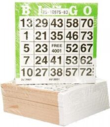 Bingokaarten (500 vel)